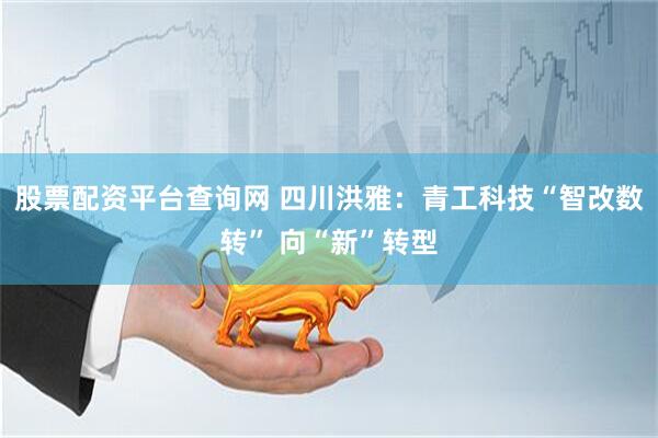 股票配资平台查询网 四川洪雅：青工科技“智改数转” 向“新”转型