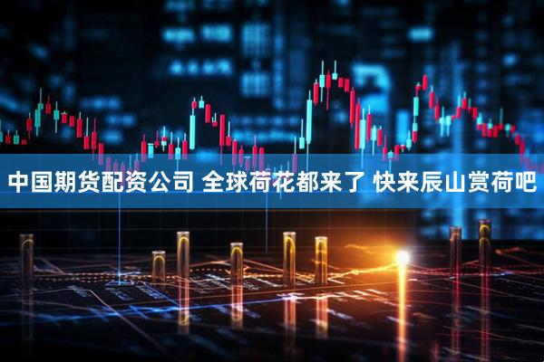 中国期货配资公司 全球荷花都来了 快来辰山赏荷吧
