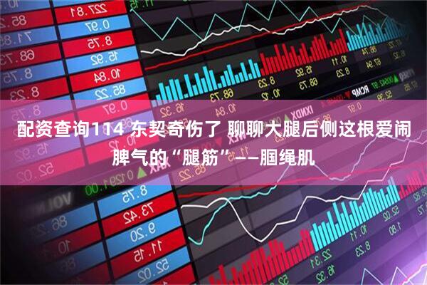 配资查询114 东契奇伤了 聊聊大腿后侧这根爱闹脾气的“腿筋”——腘绳肌